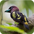 WWW,se130·COM网站APP