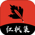 51黑料APP最新版