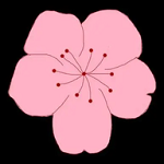 91香蕉视频APPAPP应用